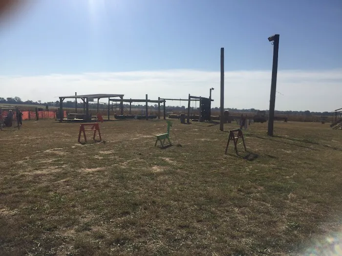 Todd Family Fun Farm & Corn Maze Picture 1