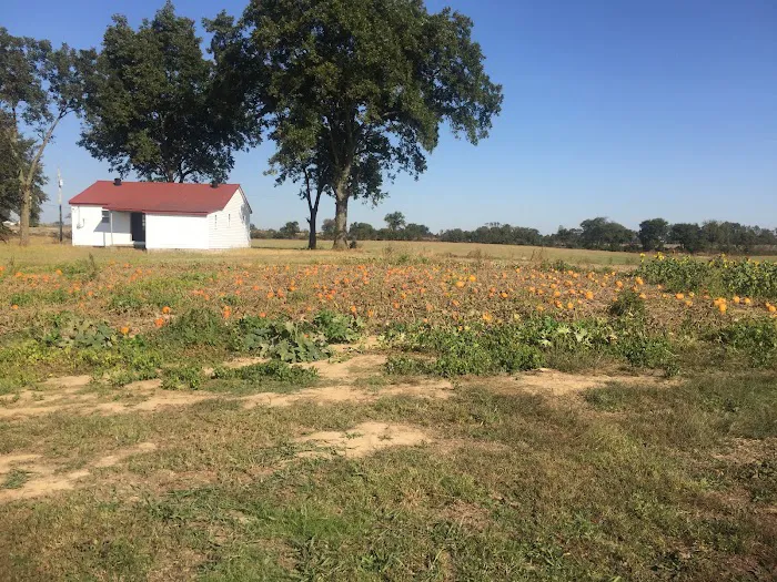 Todd Family Fun Farm & Corn Maze Picture 2