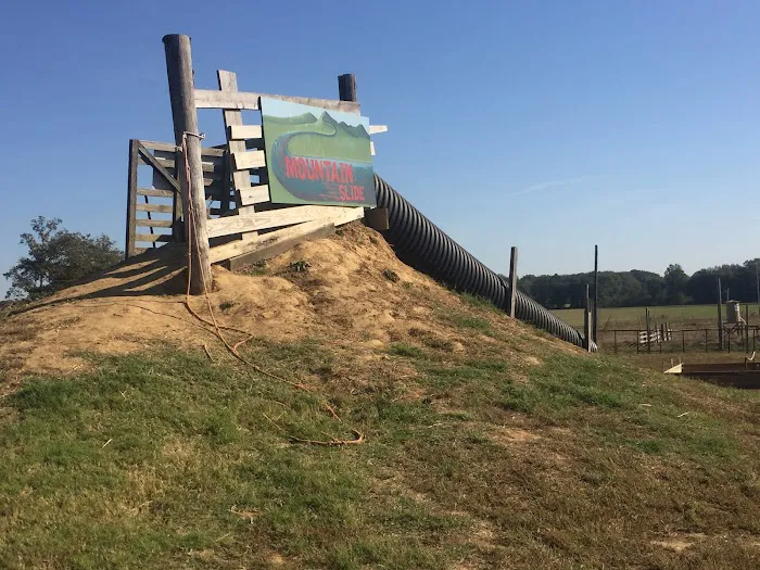 Todd Family Fun Farm & Corn Maze Picture 4