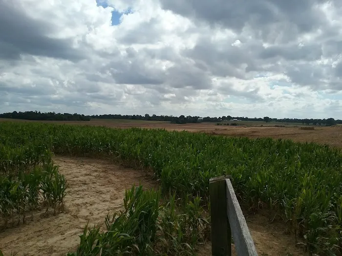 Todd Family Fun Farm & Corn Maze Picture 7