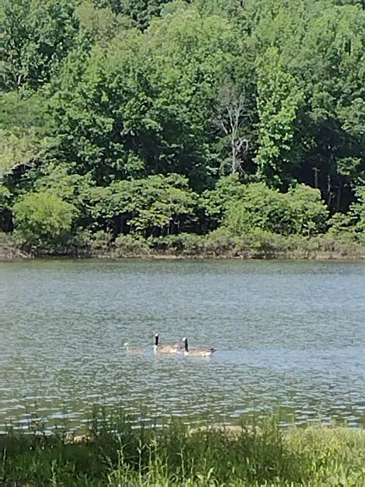 People's Creek Picture 2