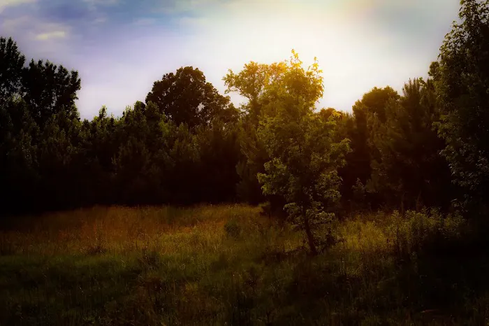 Bates-Farm Picture 3