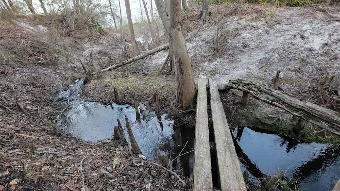 Waldrons Landing Picture 3