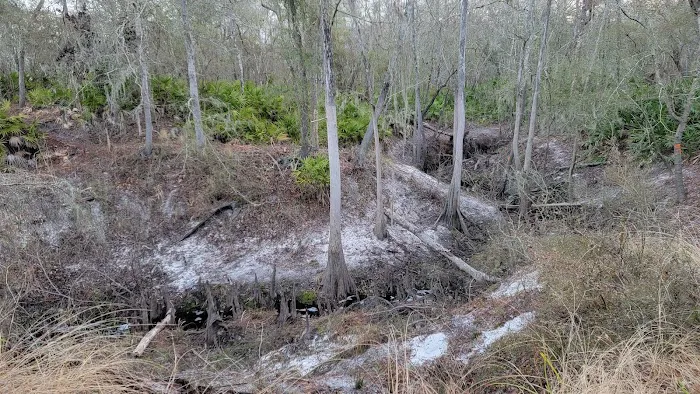 Waldrons Landing Picture 4