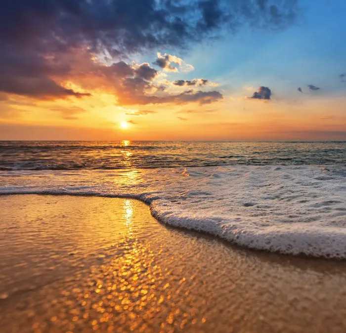 North Beach Camp Resort Picture 3