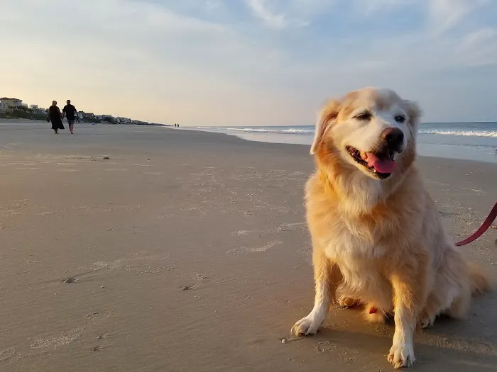 North Beach Camp Resort Picture 9