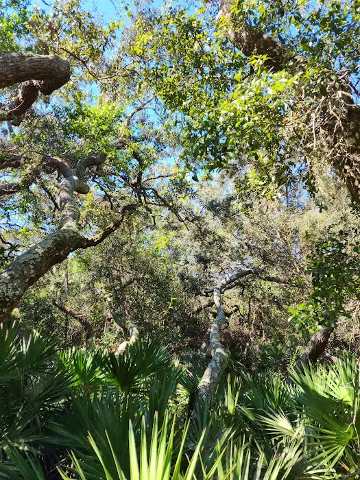 Anastasia Campground Picture 2