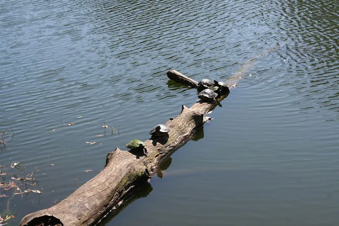 St. Augustine Beach KOA Holiday Picture 9