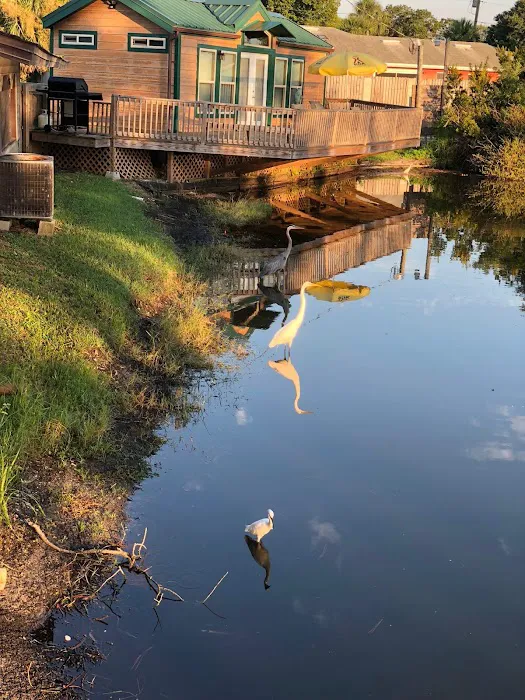 St. Augustine Beach KOA Holiday Picture 5