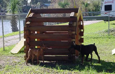 St. Augustine Beach KOA Holiday Picture 10