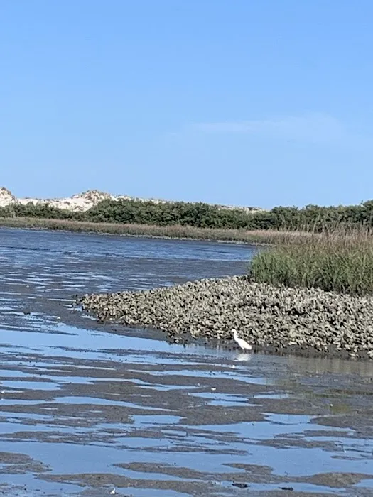 Anastasia Campground Sea Bean Loop Picture 4