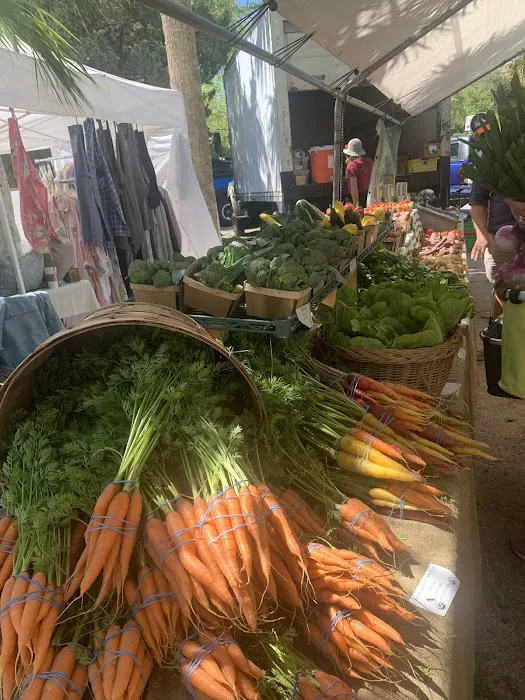 Anastasia Campground Sea Bean Loop Picture 8