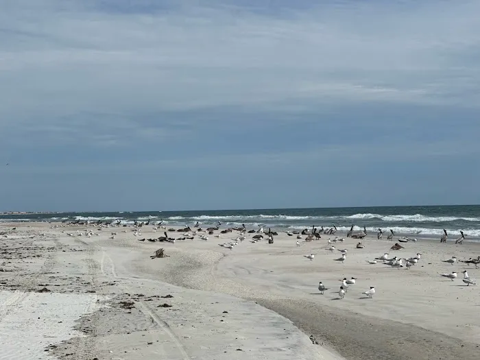 Anastasia State Park Coquina Loop Picture 4