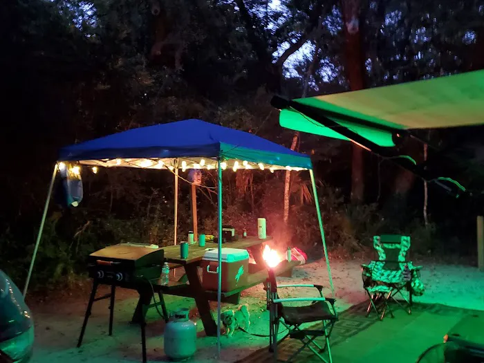 Anastasia State Park Coquina Loop Picture 6