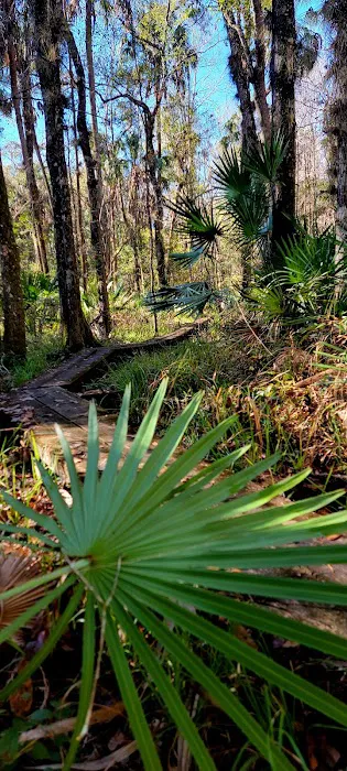 Oak Hammock Camp/Rice Creek Hilton Picture 1