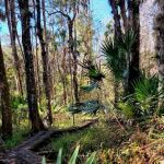 Oak Hammock Camp/Rice Creek Hilton