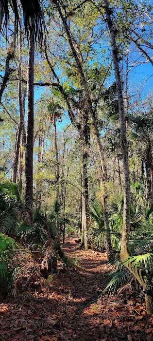 Oak Hammock Camp/Rice Creek Hilton Picture 5