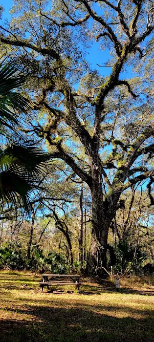 Oak Hammock Camp/Rice Creek Hilton Picture 7