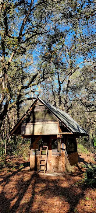 Oak Hammock Camp/Rice Creek Hilton Picture 3