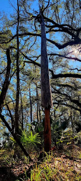 Oak Hammock Camp/Rice Creek Hilton Picture 2