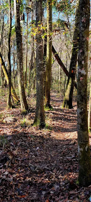 Oak Hammock Camp/Rice Creek Hilton Picture 9