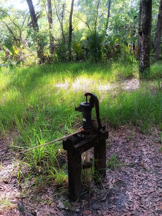 Oak Hammock Camp/Rice Creek Hilton Picture 10