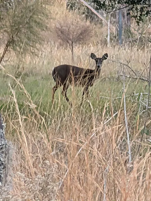 Camp Shands Picture 1