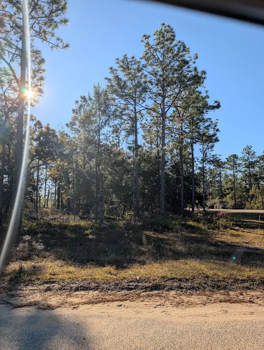 Camp Shands Picture 5