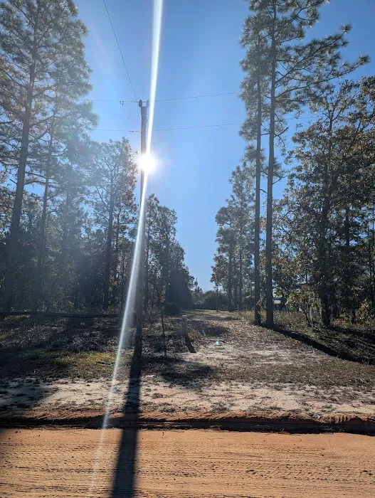 Camp Shands Picture 2