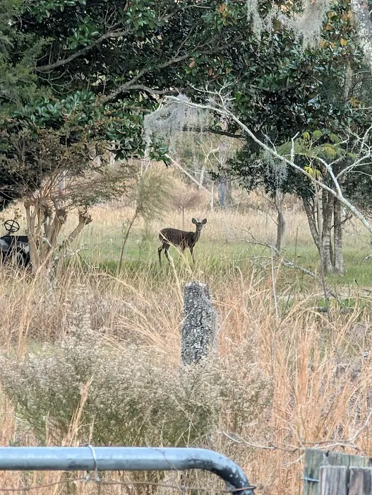 Camp Shands Picture 6