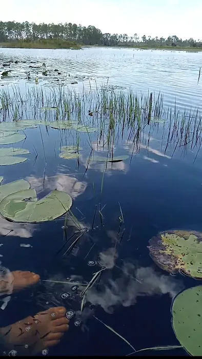 Nicecampingbnb Picture 3