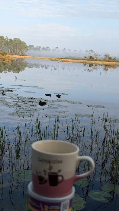 Nicecampingbnb Picture 4