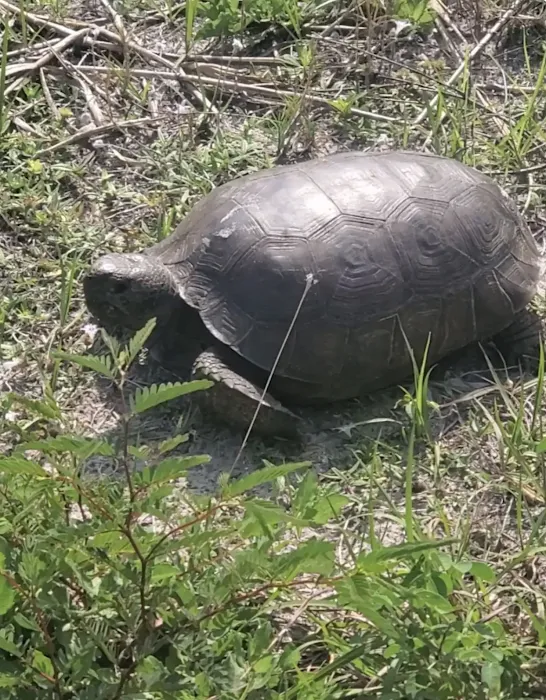 Nicecampingbnb Picture 9