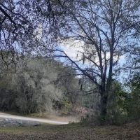 Rodman Campground ico