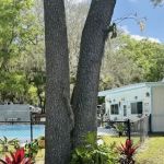 St. Johns Campground