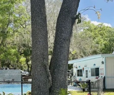 St. Johns Campground