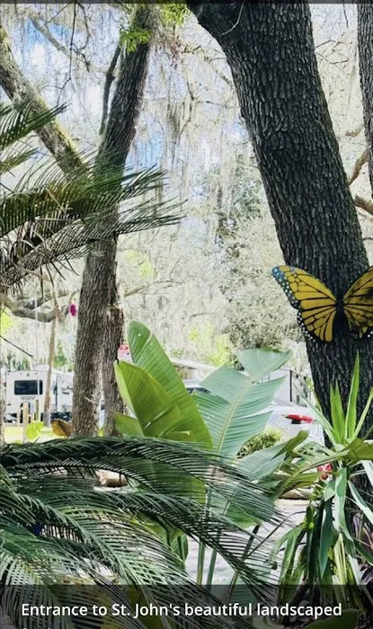 St. Johns Campground Picture 8