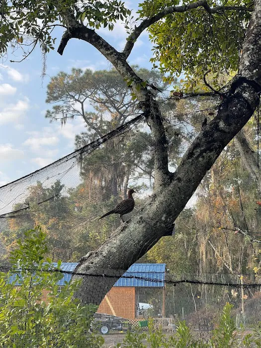 Aree Pond, LLC Picture 8