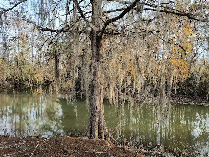 Hales Landing Campground Picture 3