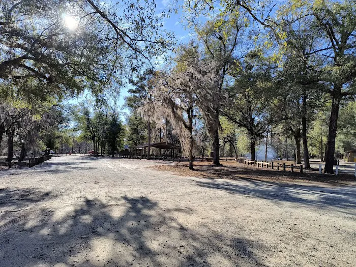 Hales Landing Campground Picture 5