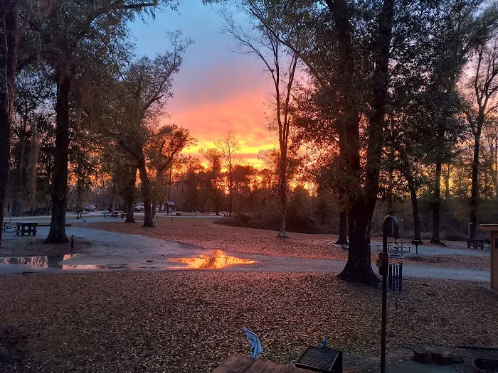 Hales Landing Campground Picture 4