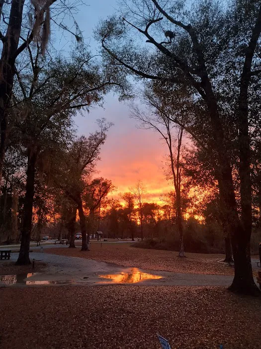 Hales Landing Campground Picture 1