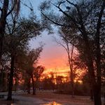 Hales Landing Campground