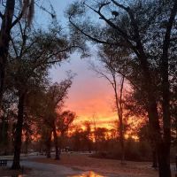 Hales Landing Campground ico