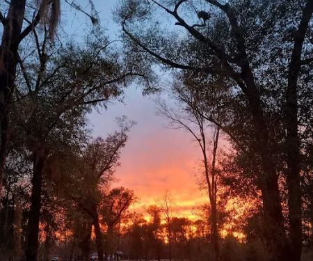 Hales Landing Campground