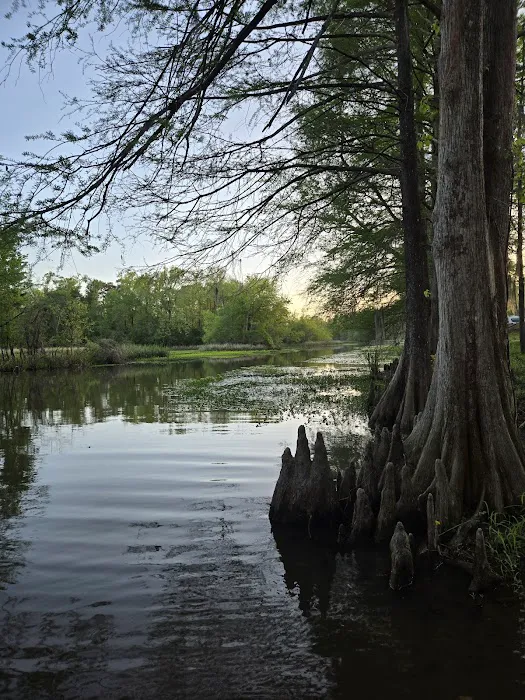 Hales Landing Campground Picture 2