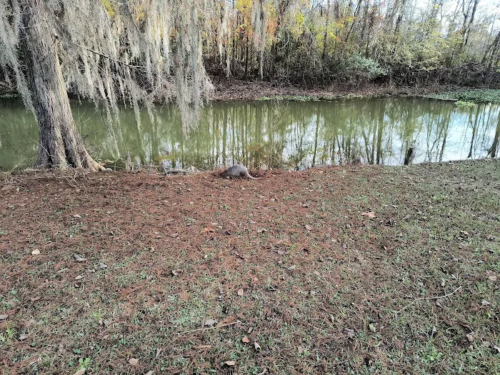 Hales Landing Campground Picture 7