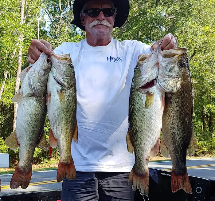 At Ease Campground & Marina (Formerly Wingates Lodge) Picture 7