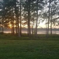 Fins and Feathers Campground ico