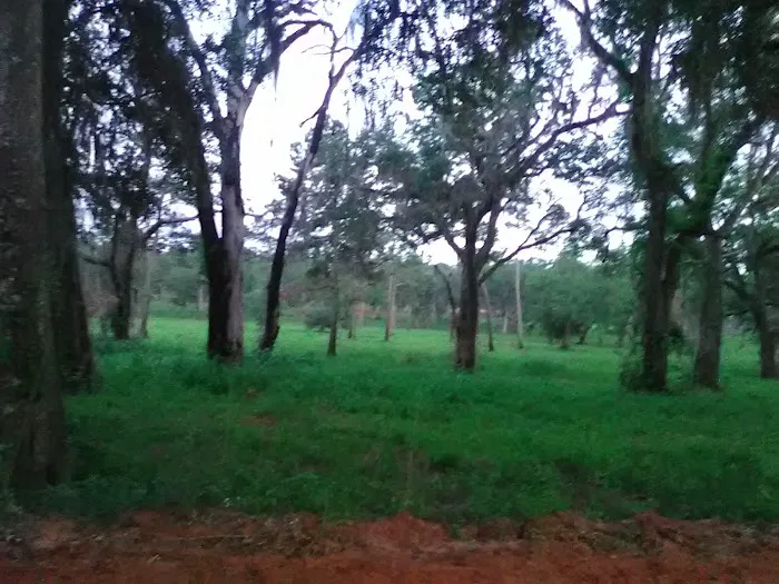 Fins and Feathers Campground Picture 10